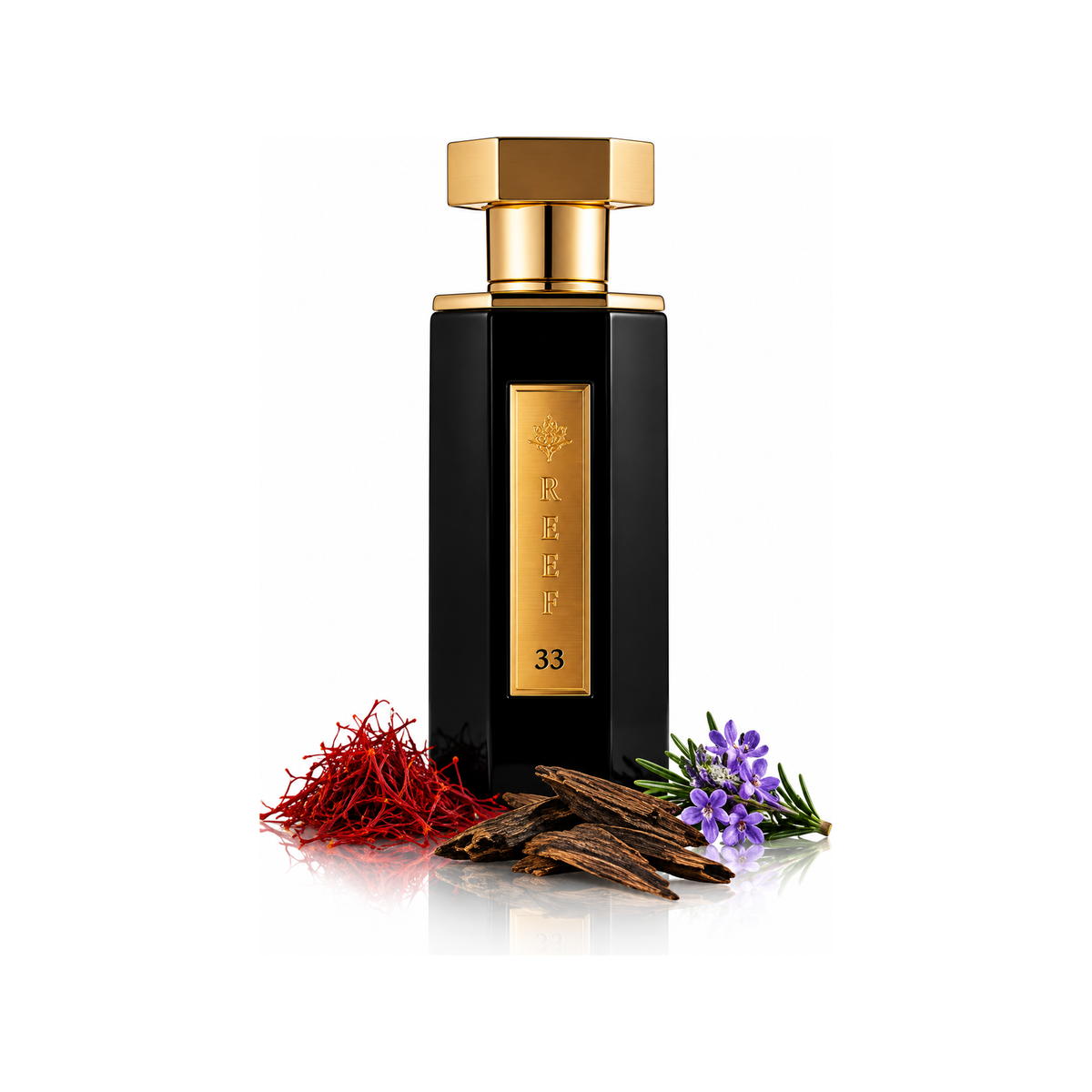 REEF 33 perfume decant